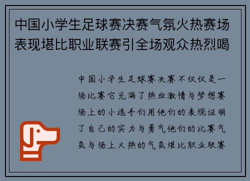 中国小学生足球赛决赛气氛火热赛场表现堪比职业联赛引全场观众热烈喝彩