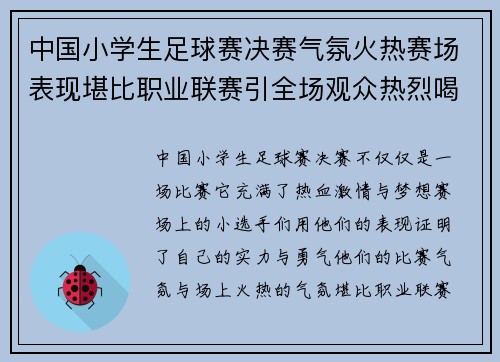 中国小学生足球赛决赛气氛火热赛场表现堪比职业联赛引全场观众热烈喝彩