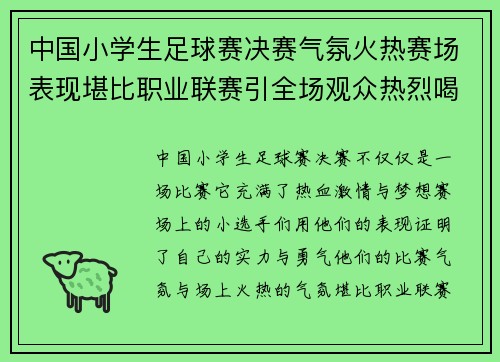中国小学生足球赛决赛气氛火热赛场表现堪比职业联赛引全场观众热烈喝彩 中国小学生足球赛决赛气氛火热赛场表现堪比职业联赛引全场观众热烈喝彩